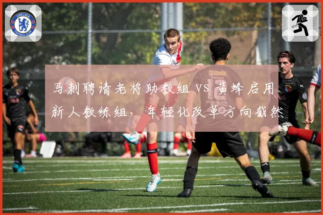 马刺聘请老将助教组 vs 黄蜂启用新人教练组，年轻化改革方向截然不同