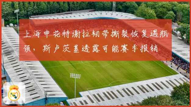 上海申花特谢拉韧带撕裂恢复遇瓶颈，斯卢茨基透露可能赛季报销