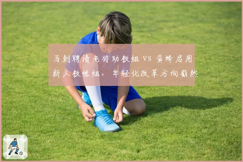 马刺聘请老将助教组 vs 黄蜂启用新人教练组，年轻化改革方向截然不同